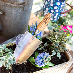 Ames Hand Trowel St/Steel